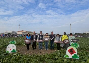 梧棲「57蘿蔔日」熱鬧登場　農趣拔蘿蔔迎新年、體驗在地農業文化