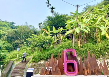 馬年行大運！大坑步道特色滿點-登頂保證「龍馬」精神