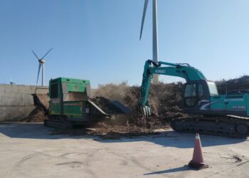 推動廢木料資源循環　中市清潔隊協助申請廢木料再利用