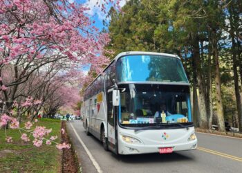 超人氣台中go武陵賞櫻聯票全數完售！-智慧交通帶動觀光魅力