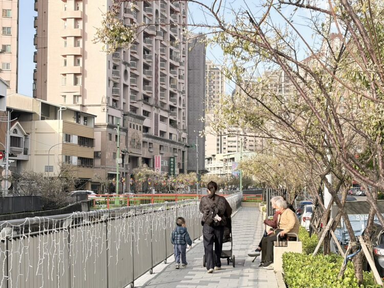 梅川沿岸梅花盛開！中市推動人本改善-串聯市區賞花更安全舒適