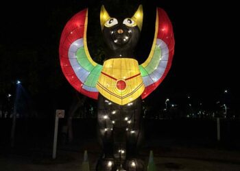 「動物有家-城市有愛」!-農業局燈區結合環保sdgs點亮永續價值