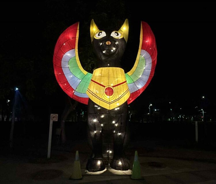 「動物有家-城市有愛」!-農業局燈區結合環保sdgs點亮永續價值