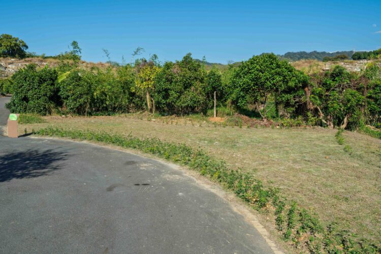 台中再添樹葬新據點-潭子生命紀念館樹葬區啟用-民政局長：提供多元永續殯葬選擇