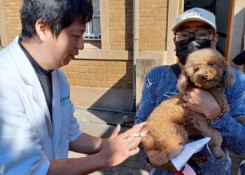 動保處深入偏鄉辦理寵物巡迴注射-守護毛孩健康