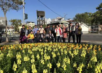 台中遍地開花迎新春！21條道路、29處公園花海綻放　大里阿罩霧、塗城公園春意最搶眼