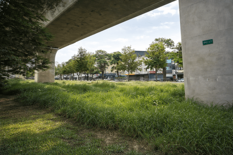 匹克球正夯!-中市北區台鐵高架橋下規劃專屬球場-預計年中完工