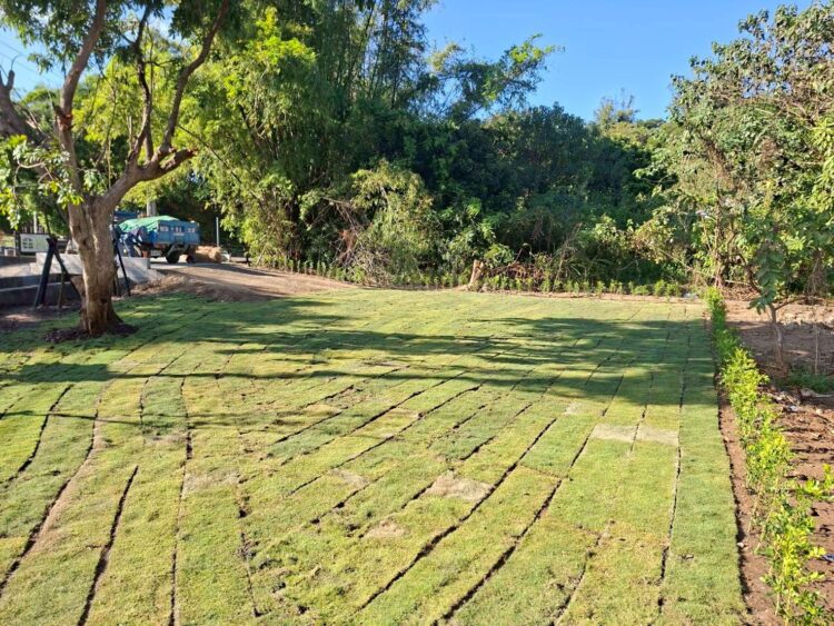 打造友善休憩起點-知高圳步道入口綠美化空間啟用