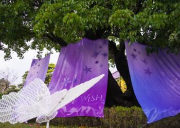 成美文化園花季浪漫紫色夢幻花園 許願藤花海瀑布登場