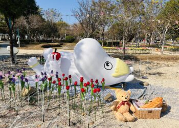 中台灣燈會奇蹟！姆明女友的熊馬吉還在原地-市府大讚民眾都是「最萌守望者」