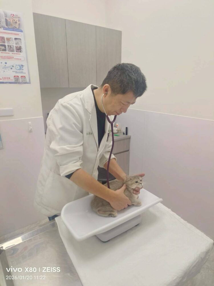 115年春節不打烊寵物服務5,666隻、急難救援94件-守護毛孩健康過好年！