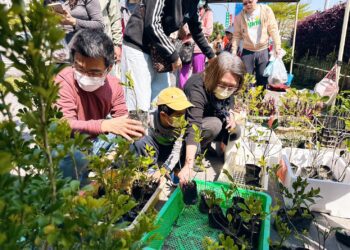 回收也能種下綠意-中市環保局植樹月推換苗換肥落實淨零綠生活