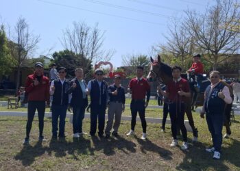 「神馬到來．horse農來！」熱鬧登場　神岡文化季邀親子體驗食農教育