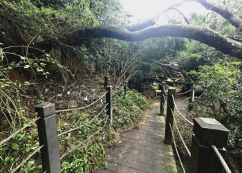 大坑多條登山步道加速修復-市府呼籲留意步道封閉狀況勿擅闖
