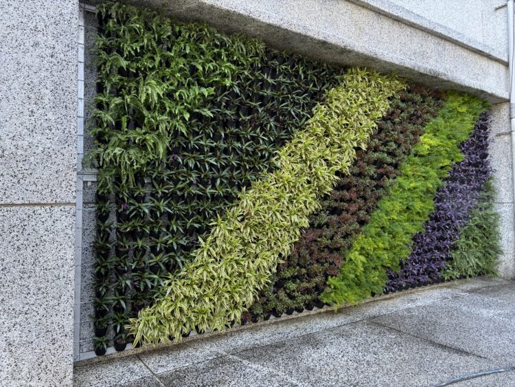 中市環保局推「廣植栽、廣植林」-輔導學校、社區、企業共同打造花園城市