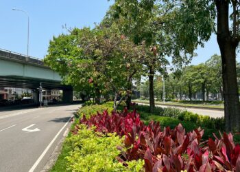 公私協力打造城市綠廊！中市府媒合8企業投入逾3億元參與城市綠化建設