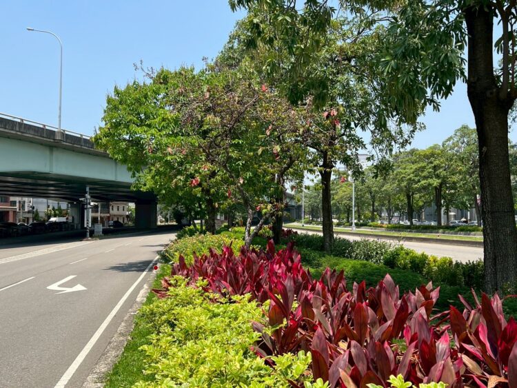 公私協力打造城市綠廊!中市府媒合8企業投入逾3億元參與城市綠化建設
