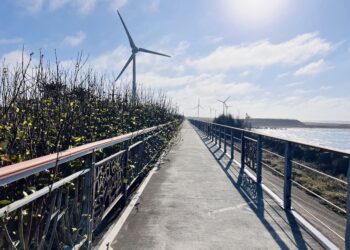 中市濱海自行車道設施修繕完工　中市觀旅局：打造安全舒適騎乘環境
