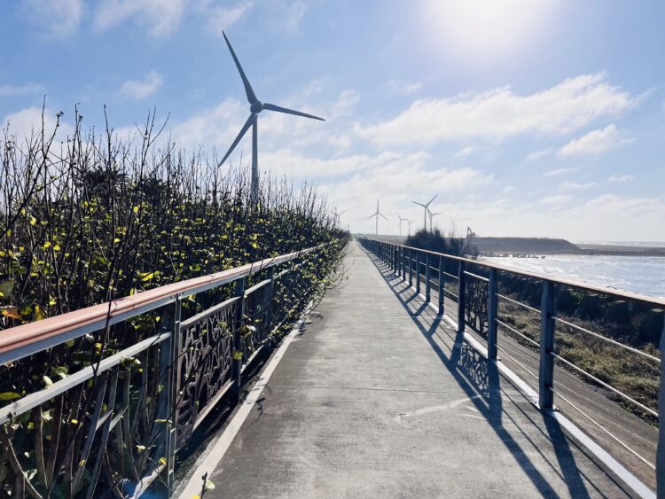 中市濱海自行車道設施修繕完工 中市觀旅局:打造安全舒適騎乘環境