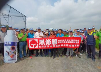 影音/免登農藥資材黑修羅 防治稻熱病、根瘤線蟲達到防治效果
