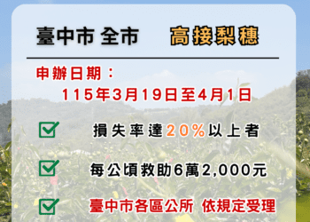 中市高接梨穗災損補助-3/19-4/1受災農民可申請現金救助