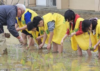 中市校園食農教育成果齊聚-食農教育嘉年華熱鬧登場