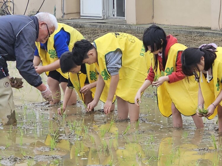 中市校園食農教育成果齊聚-食農教育嘉年華熱鬧登場