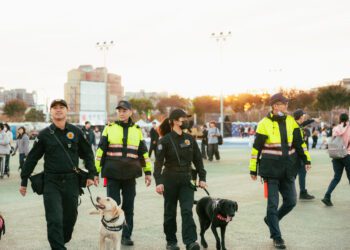 守護650萬人次燈會人潮！中市警結合4萬警民力　春節治安交通交出亮眼成績單