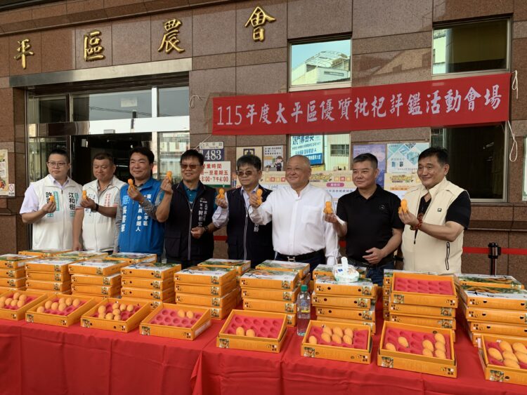 太平枇杷王出爐!台中優質枇杷評鑑揭曉 品質再獲肯定