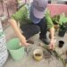 舊瓶罐種出好空氣 中市清潔隊推再生植栽兼顧美化與防疫