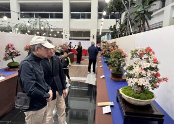 皐月花潮翻轉城市氣質-皐月杜鵑花季展4/4-4/12豐原陽明大樓登場