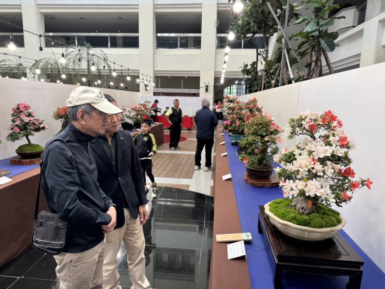 皐月花潮翻轉城市氣質-皐月杜鵑花季展4/4-4/12豐原陽明大樓登場