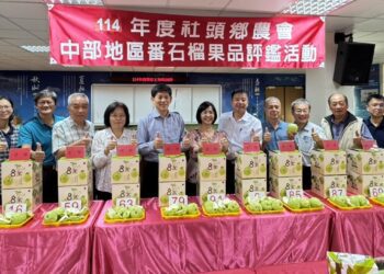 影音/中部優質番石榴果品評鑑競賽 優秀果農齊聚比拚