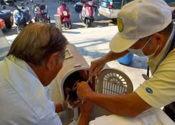 守護人寵健康　中市動保處啟動17場狂犬病疫苗巡迴注射活動