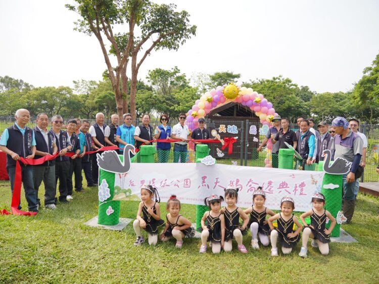 后里環保公園神秘嬌客「黑天鵝」登場!市府建設局升級綠地空間-再添公園新亮點