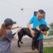 台中市搜救犬與警犬完成疫苗注射 強化動物防疫與公共安全