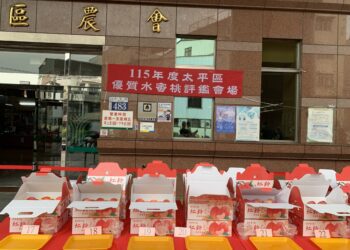 太平區優質水蜜桃果品評鑑競賽-農友柯聰明勇奪冠軍成為平地水蜜桃達人