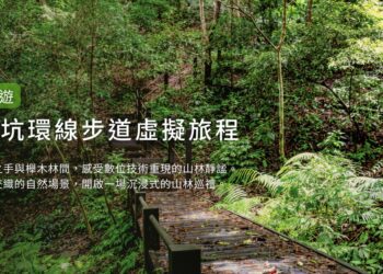 台中沉浸式山林體驗！「雪山坑登山步道」美景線上看