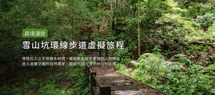 台中沉浸式山林體驗！「雪山坑登山步道」美景線上看