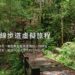 台中沉浸式山林體驗！「雪山坑登山步道」美景線上看