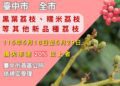 中市荔枝災損-5/29前可申請現金救助