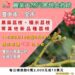 中市荔枝災損-5/29前可申請現金救助