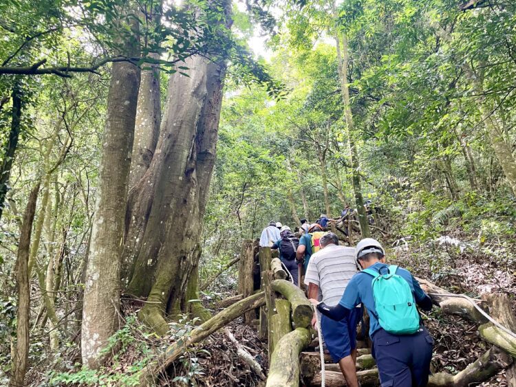 台中大坑5-1號步道手作修復-近50名志工齊力守護山林「用雙手修一條山路」