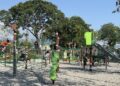 守護獨角仙復育成果-中市建設局攜手專家優化棲地-籲共同落實生命教育