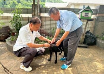 夏季野生動物活動頻繁-中市動保處籲請民眾提高警覺共同防範狂犬病