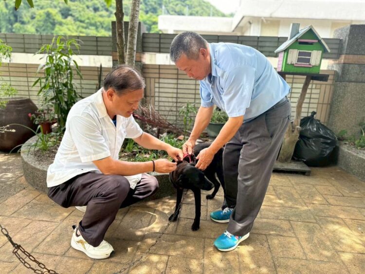 夏季野生動物活動頻繁-中市動保處籲請民眾提高警覺共同防範狂犬病