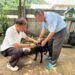 夏季野生動物活動頻繁-中市動保處籲請民眾提高警覺共同防範狂犬病