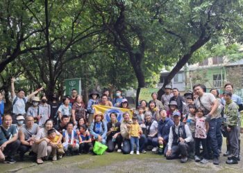 北屯荔枝老樹公園結實纍纍迎豐收！中市建設局攜手荒野保護協會辦採果活動推食農教育