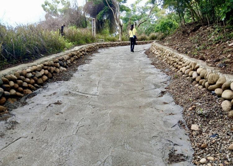大甲鐵砧山桂花泉步道優化工程持續推進 提升排水效能打造更安全舒適遊憩環境