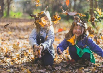 彰化輕旅行攻略:親子出遊首選 必訪景點與必吃美食指南
